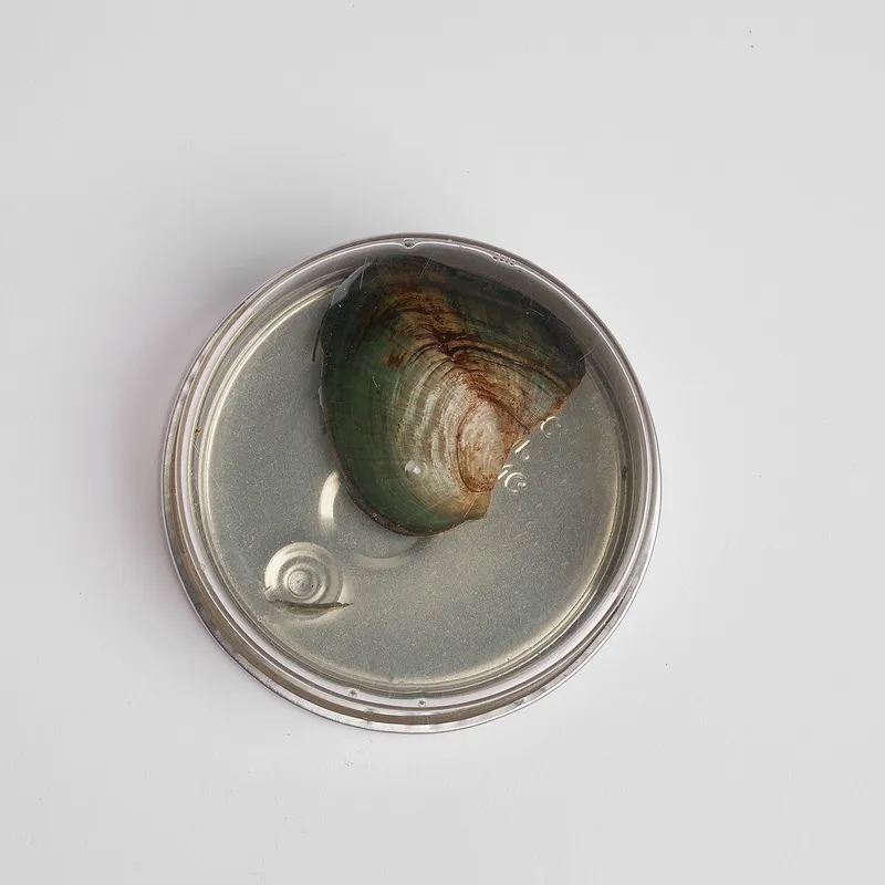 Pearl of Endless Love Necklace Gift Box for Her