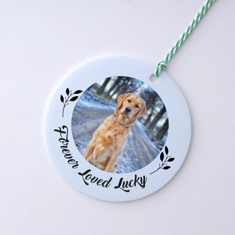 Personalized Christmas Ornament with Pets