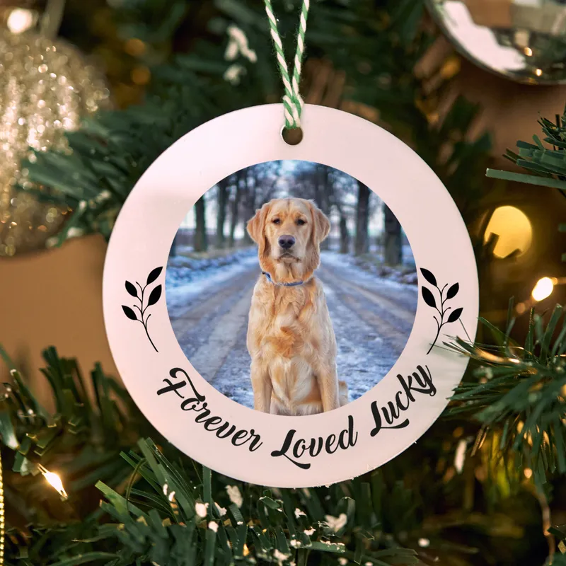 Personalized Christmas Ornament with Pets