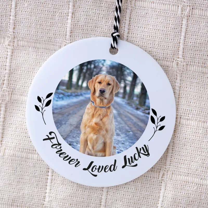 Personalized Christmas Ornament with Pets