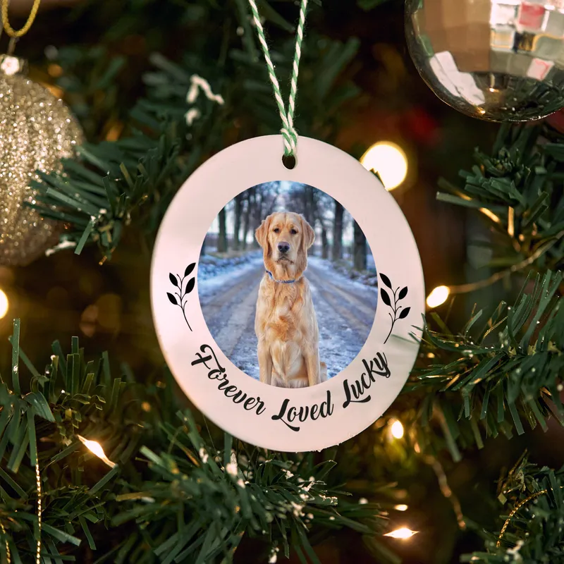Personalized Christmas Ornament with Pets