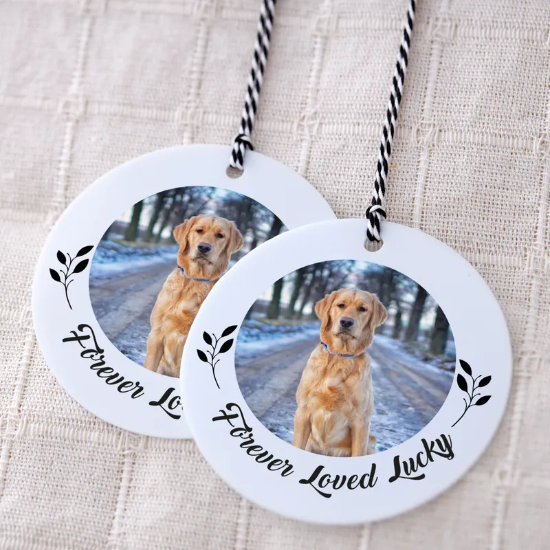 Personalized Christmas Ornament with Pets
