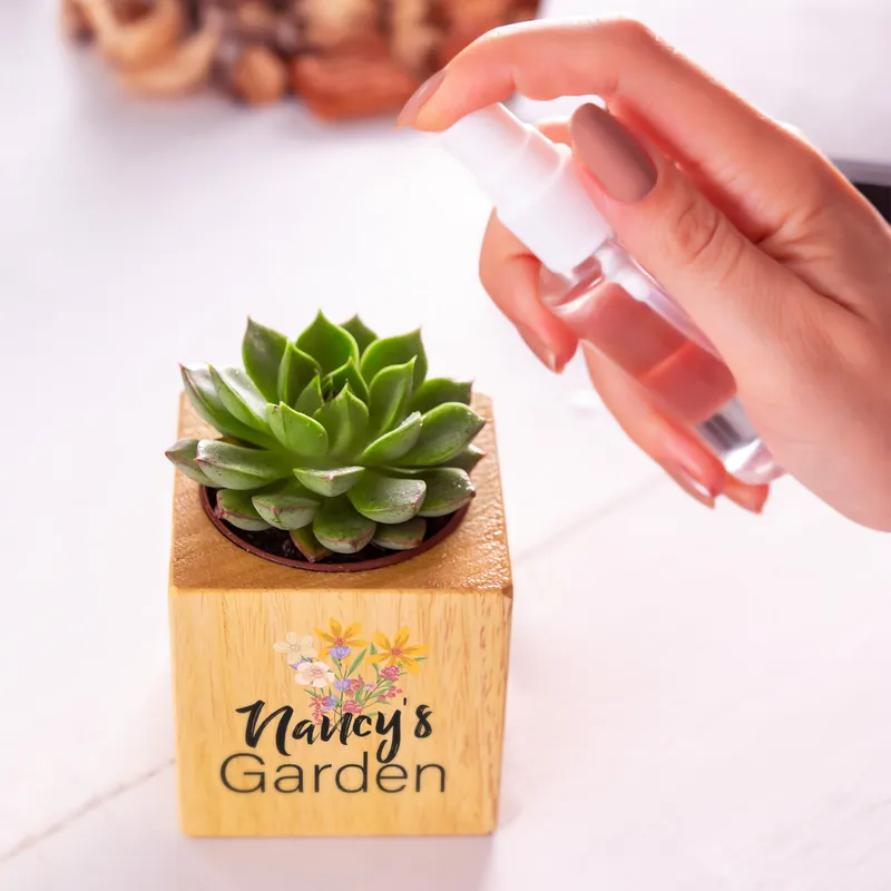Personalized Floral Succulent Planter for Grandma
