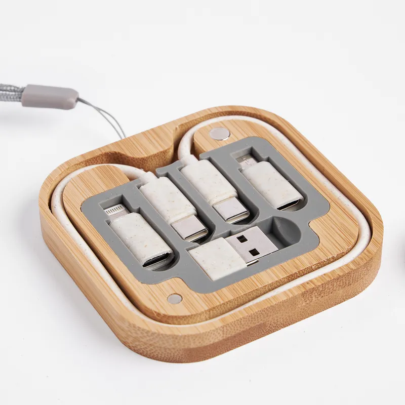 Personalized Multi Device Charging Station