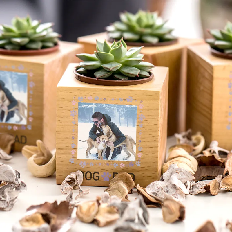 Personalized Pet Dad Succulent Planter