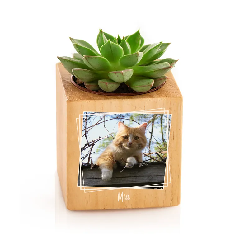 Personalized Pet Photo Wooden Naturacube