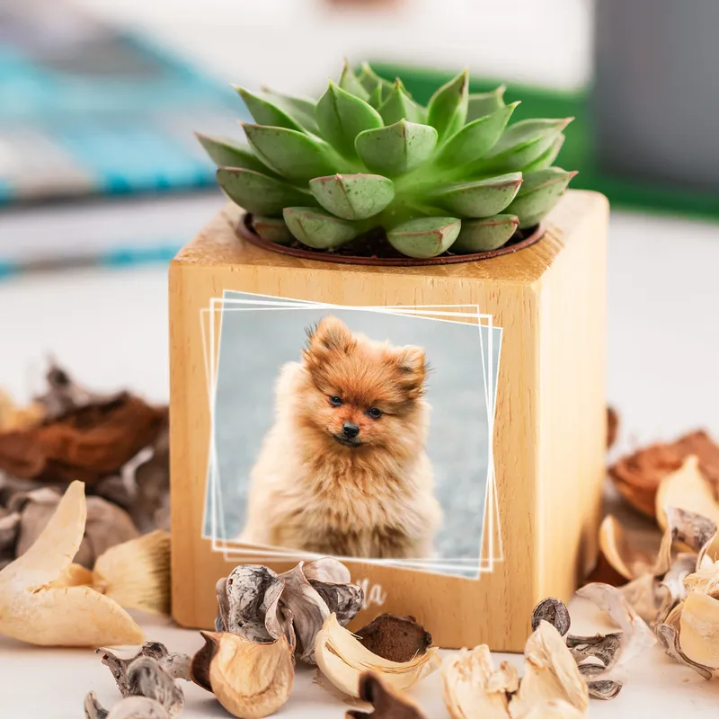 Personalized Pet Photo Wooden Naturacube