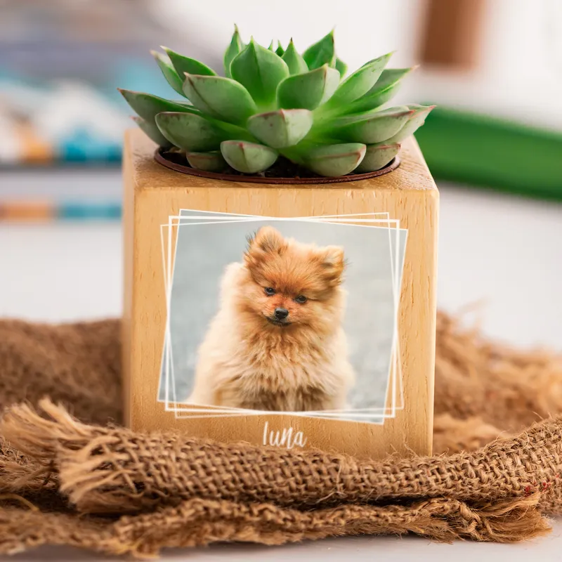 Personalized Pet Photo Wooden Naturacube