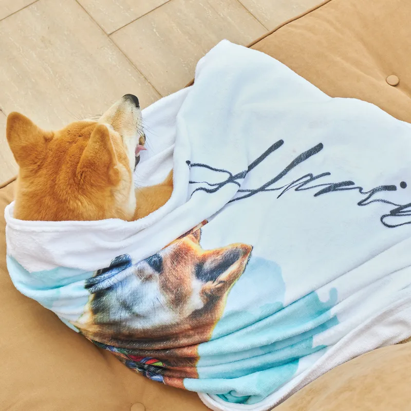 Personalized Picture Water Color Design Printed Ultra Absorbent Pet Towel