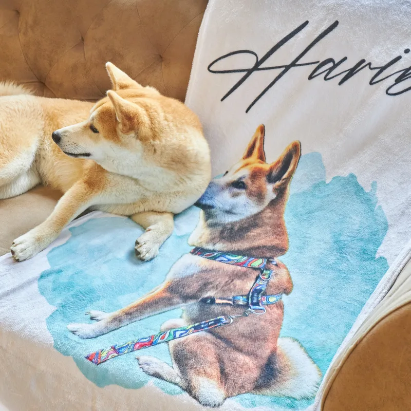 Personalized Picture Water Color Design Printed Ultra Absorbent Pet Towel