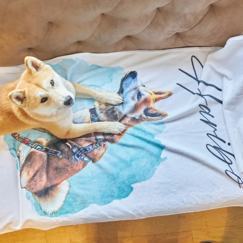 Personalized Picture Water Color Design Printed Ultra Absorbent Pet Towel