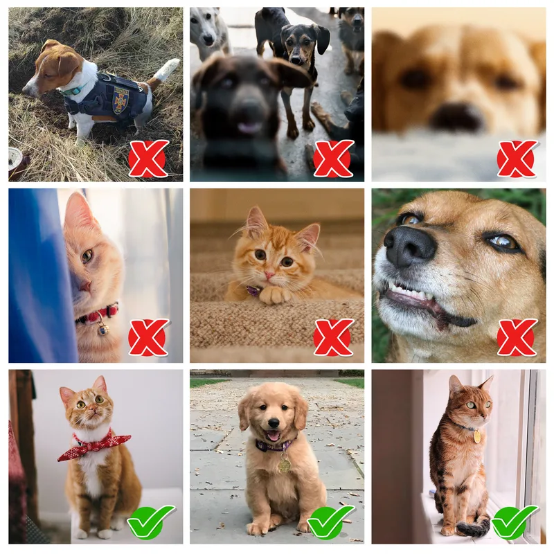 Personalized Picture Water Color Design Printed Ultra Absorbent Pet Towel