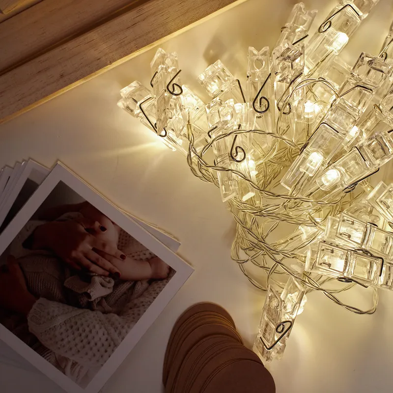 Personalized Pine Tree Photo Display with LED Lights Plus 12 Printed Photos