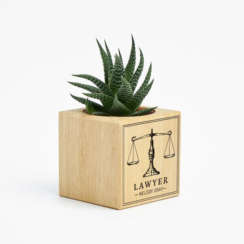 Personalised Lawyer Succulent Planter with Justice Scales Design