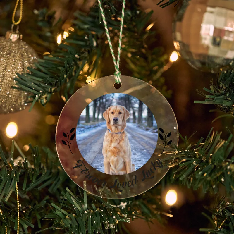 Personalised Pet Photo Christmas Ornament for Animal Lovers