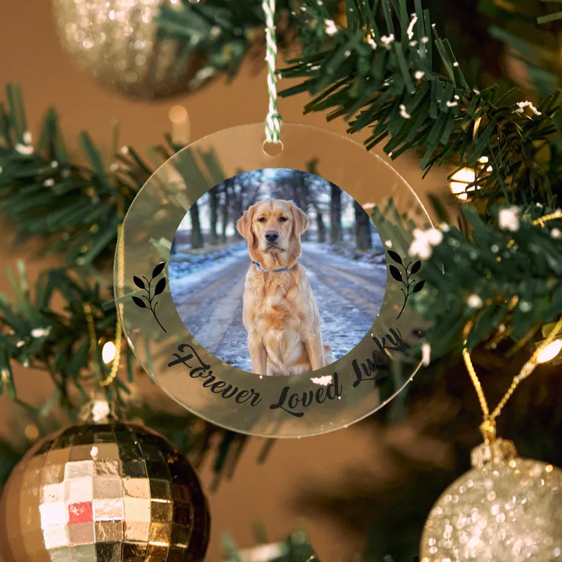 Personalised Pet Photo Christmas Ornament for Animal Lovers