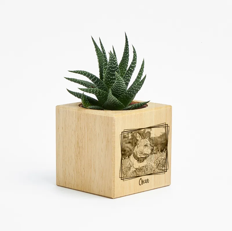 Personalised Pet Photo Succulent Planter Unique Wooden Gift