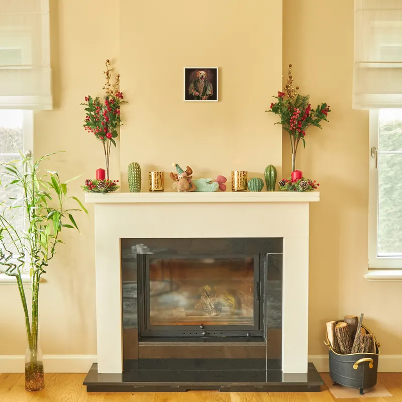 Personalised Medieval Pet Portrait with White Frame