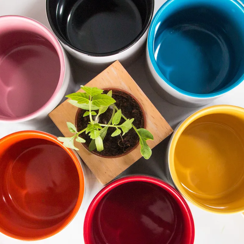 Photo Printed 2-Piece Colorful Coffee Mug Set