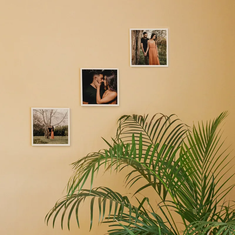 Photo Printed 3-piece Adhesive Wall Frame
