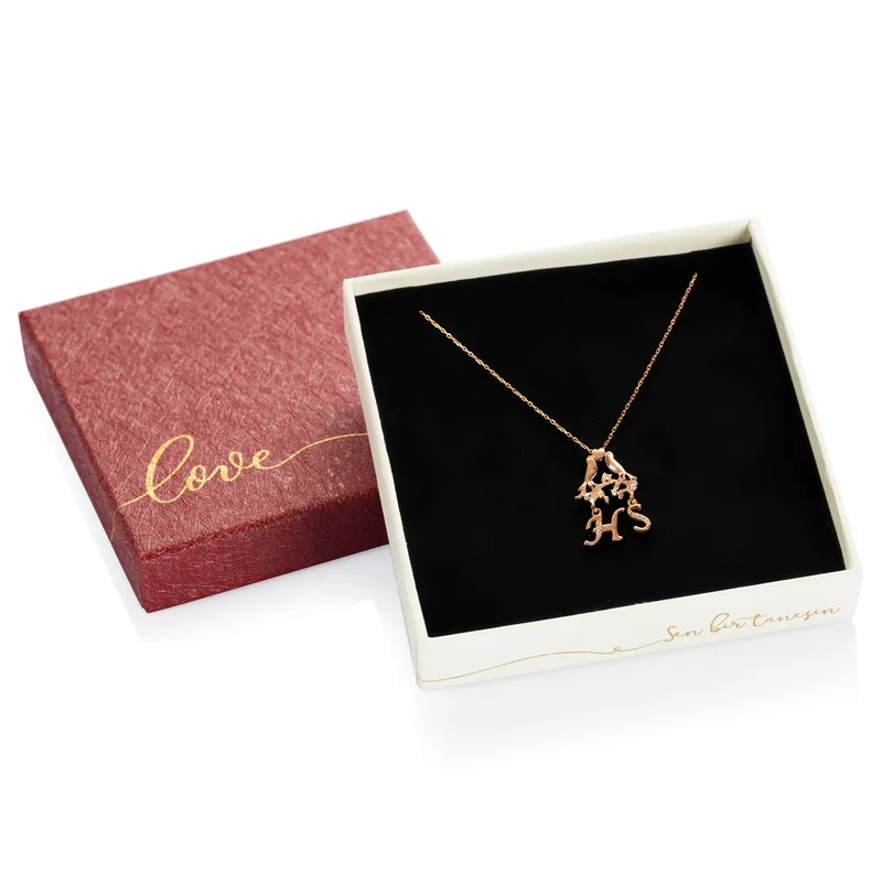 Rose Silver Necklace with Special Initials