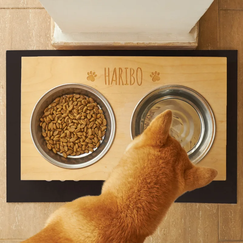 Personalised Pet Feeding Mat with Sit Stay Eat Design
