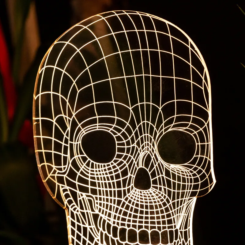 Skull Design 3D Led Lamp