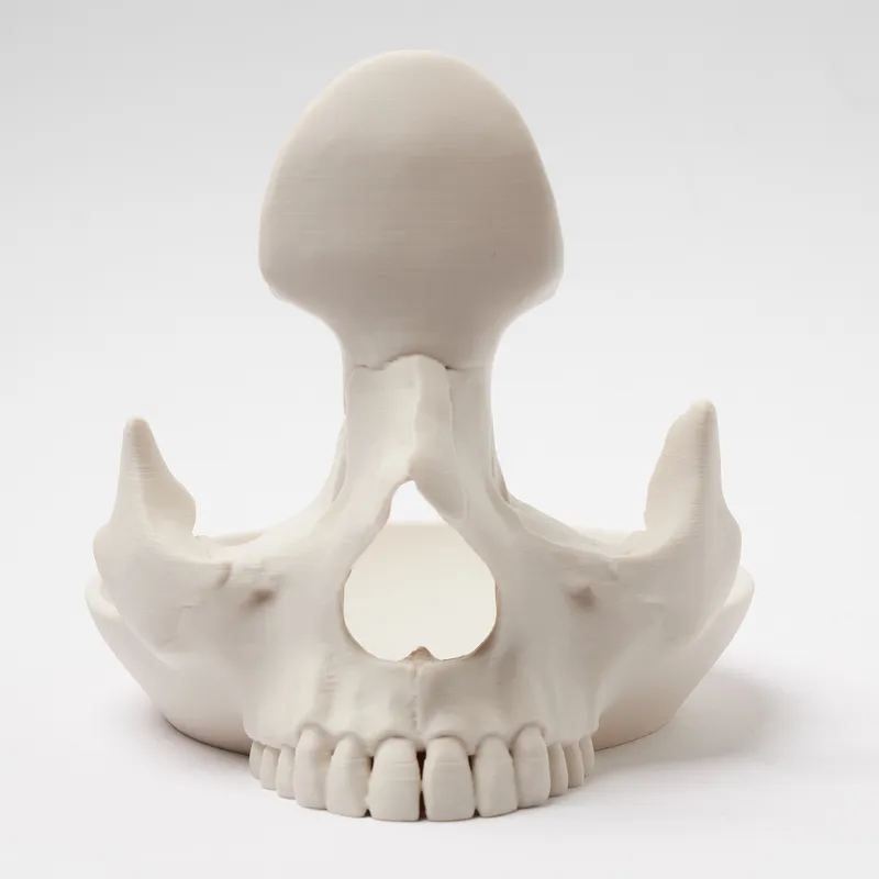 Skull Eyeglass Stand Holder - Gothic Desk Display Gift