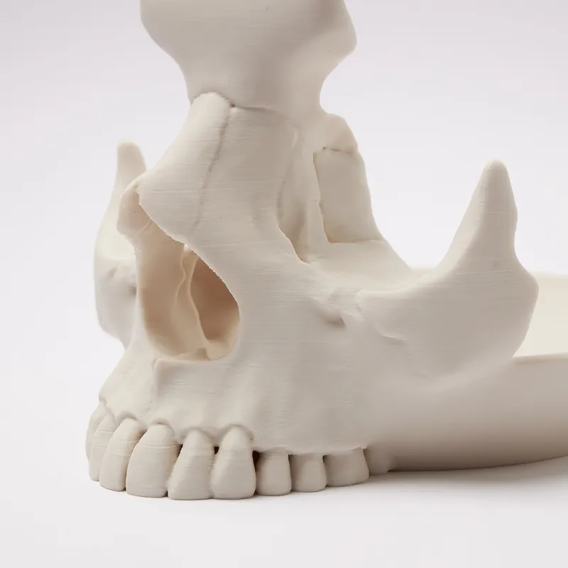 Skull Eyeglass Stand Holder - Gothic Desk Display Gift
