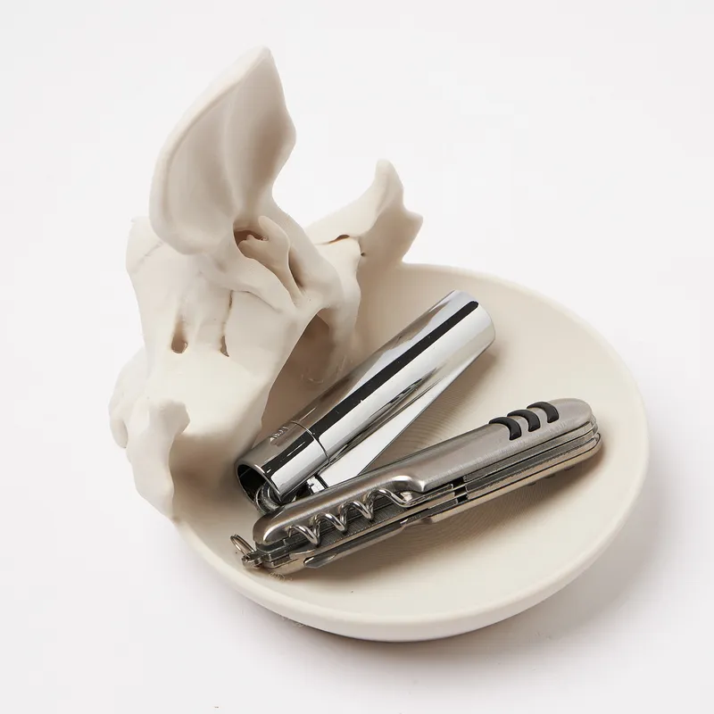 Skull Eyeglass Stand Holder - Gothic Desk Display Gift