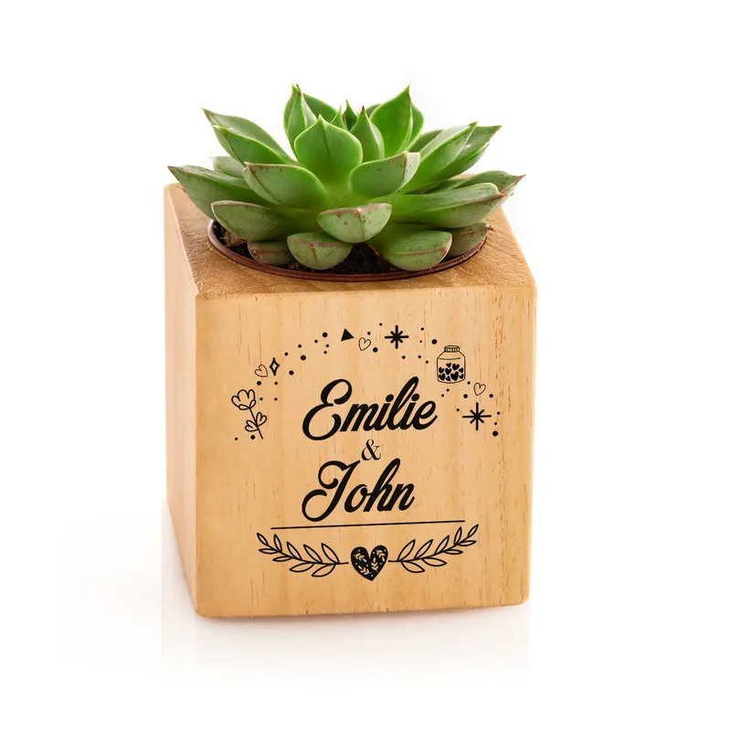 Succulent Pot Anniversary Gifts for Couples with Magic Design