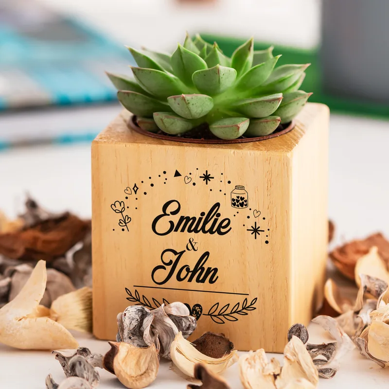 Succulent Pot Anniversary Gifts for Couples with Magic Design