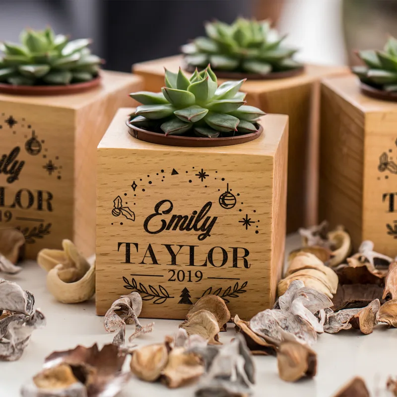 Personalised Succulent Planter with Engraved Name