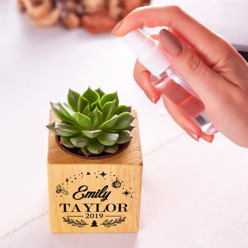 Personalised Succulent Planter with Engraved Name