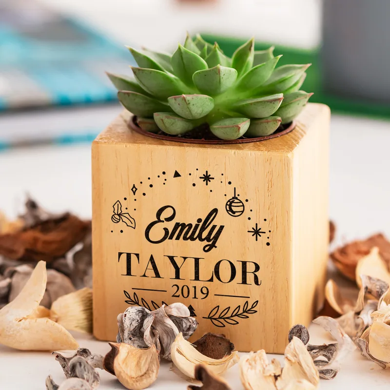 Personalised Succulent Planter with Engraved Name