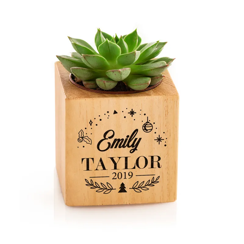 Personalised Succulent Planter with Engraved Name