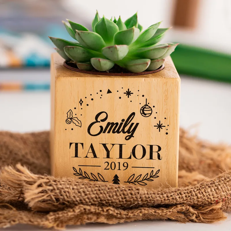 Personalised Succulent Planter with Engraved Name