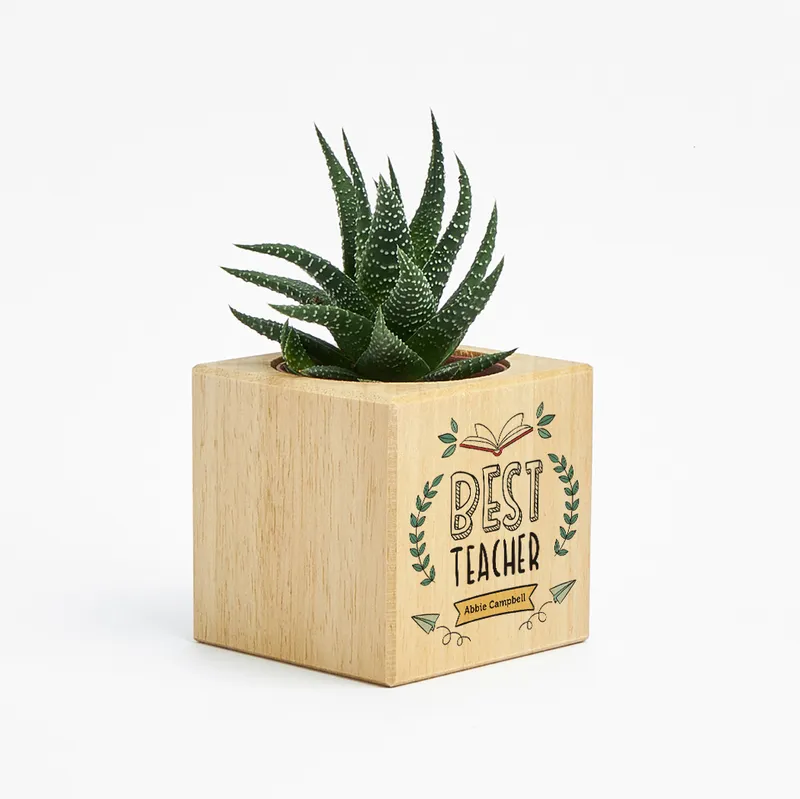 Personalised Best Teacher Succulent Planter Gift