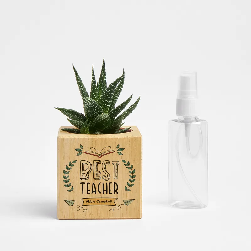 Personalised Best Teacher Succulent Planter Gift