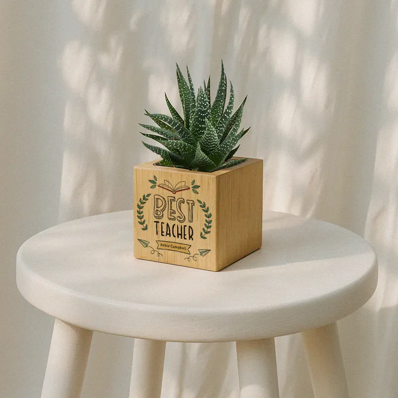 Personalised Best Teacher Succulent Planter Gift