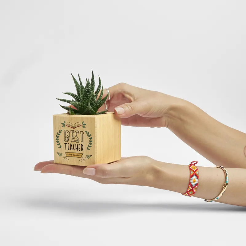 Personalised Best Teacher Succulent Planter Gift