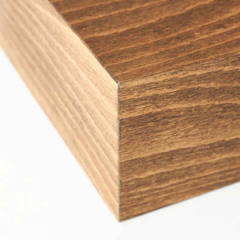 Tip Box Printed Wooden Moneybox