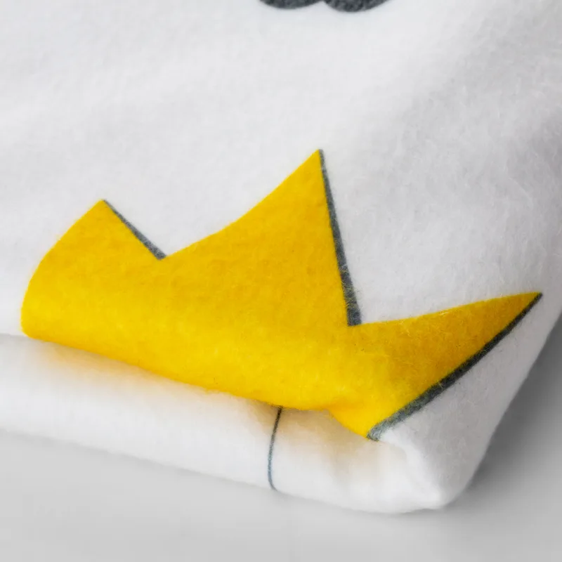 Personalised Twin Milestone Blanket for Monthly Baby Photos