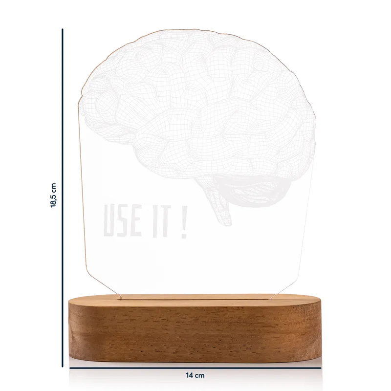 Brainy Banter 3D LED Lamp for Home and Office Decor