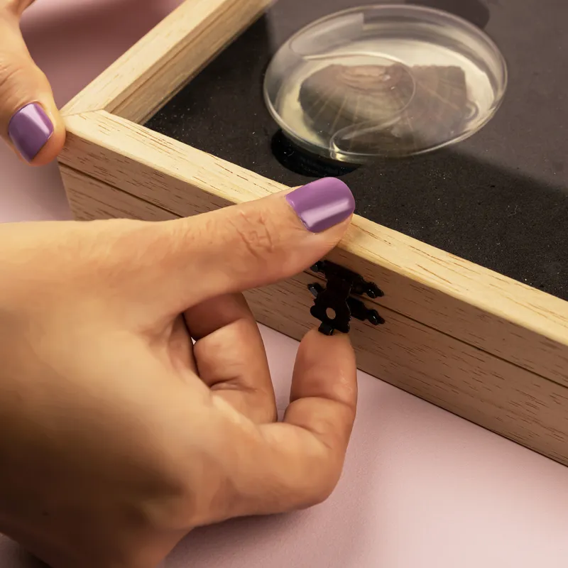 Valentine's Day Gift Oyster Necklace - Real Pearl Necklace Wooden Gift Box