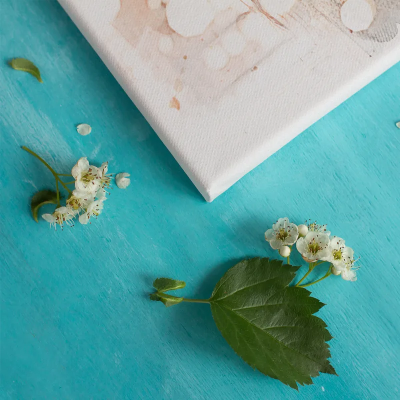 Watercolour Effect Photo Canvas Art Print