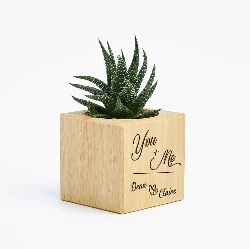 You and Me Succulent Pot
