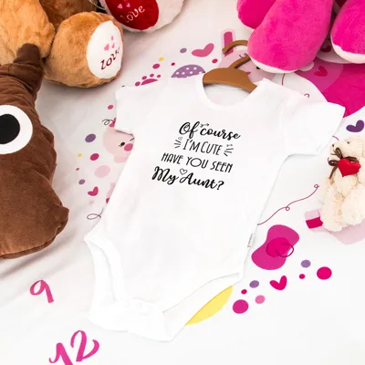 Aunt's Gift for Babies Funny Message Baby Bodysuit