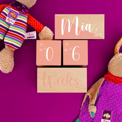 Baby Girl Wooden Personalized Milestone Blocks