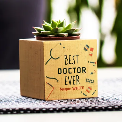 Best Doctor Ever Personalized Succulent Naturacube